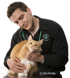 Happy cat with male vet